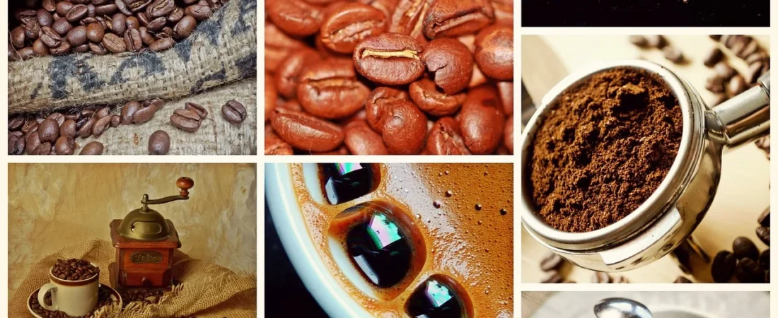 «Café Orgánico vs Café de Comercio Justo: Diferencias Claves»